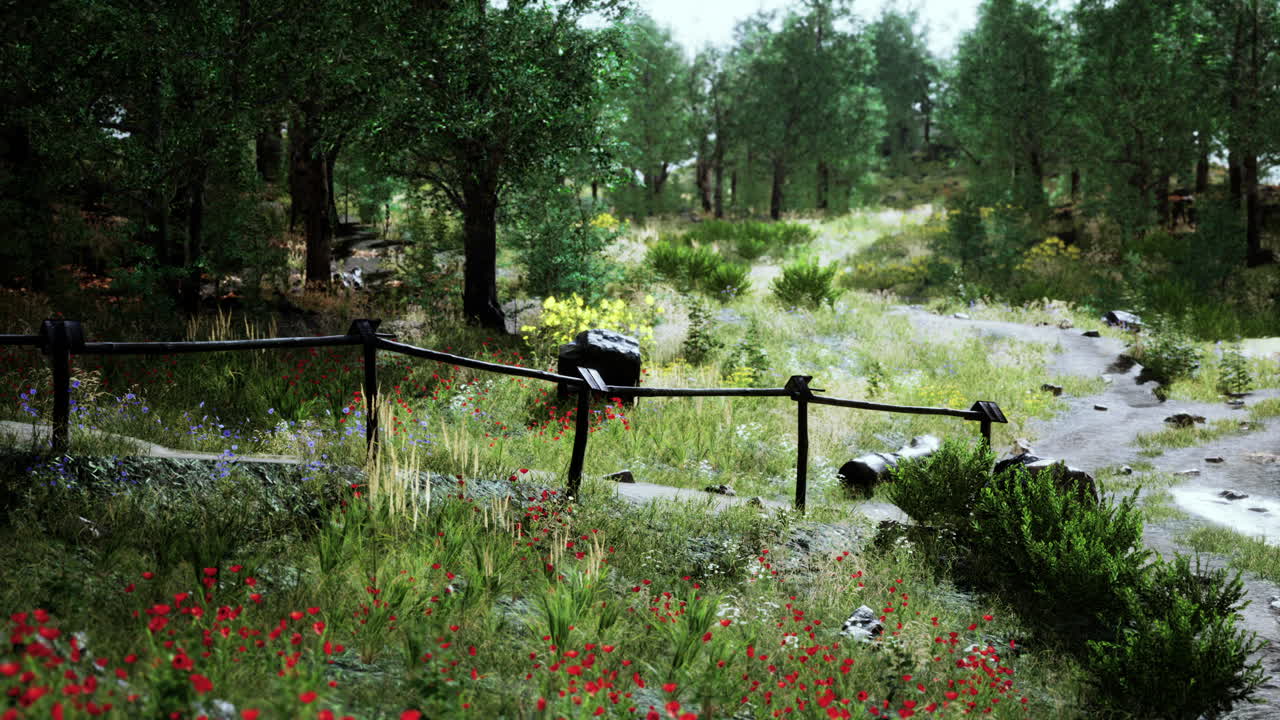 сельская дорога в лиственных лесах в туманное утро