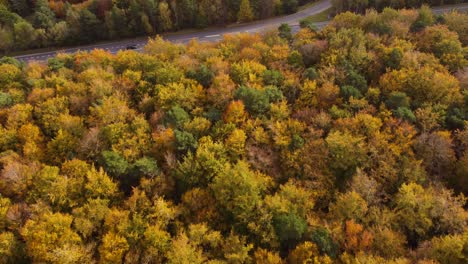 Toma-De-Reenvío-De-Vista-Aérea-De-Una-Carretera-Transitada-Que-Atraviesa-El-Bosque-Otoñal-Y-Uno-De-Los-Bylanes-Que-Conducen-A-Un-Pequeño-Pueblo-En-Las-Afueras-Del-Bosque-En-Un-Día-Soleado