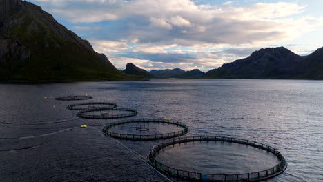 circular marine pens stocked with salmon in arctic fjord in norway. aerial