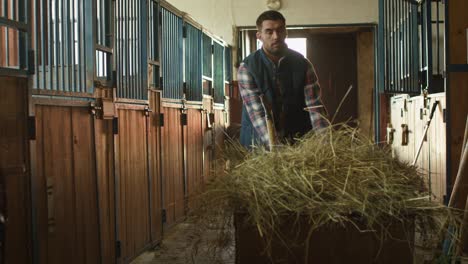 man is rolling a cart with hay into a stable in order to feed horses.