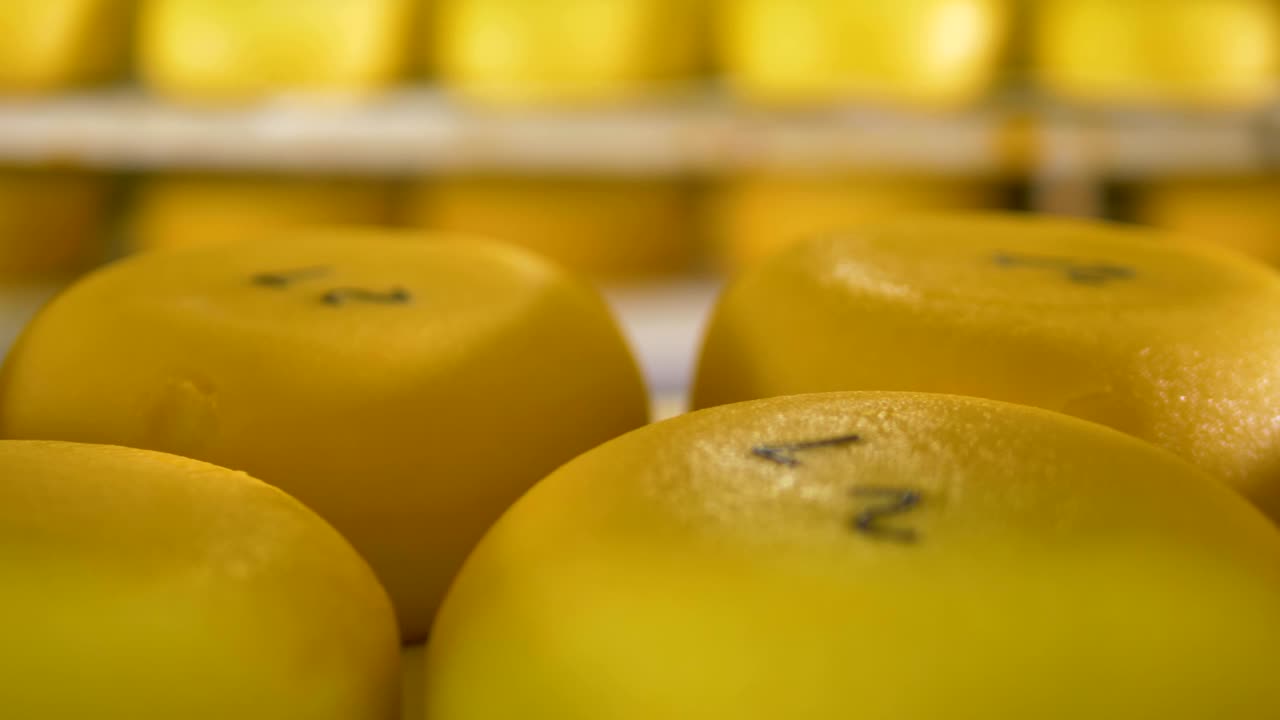 Bright yellow wax cover of stored cheese.