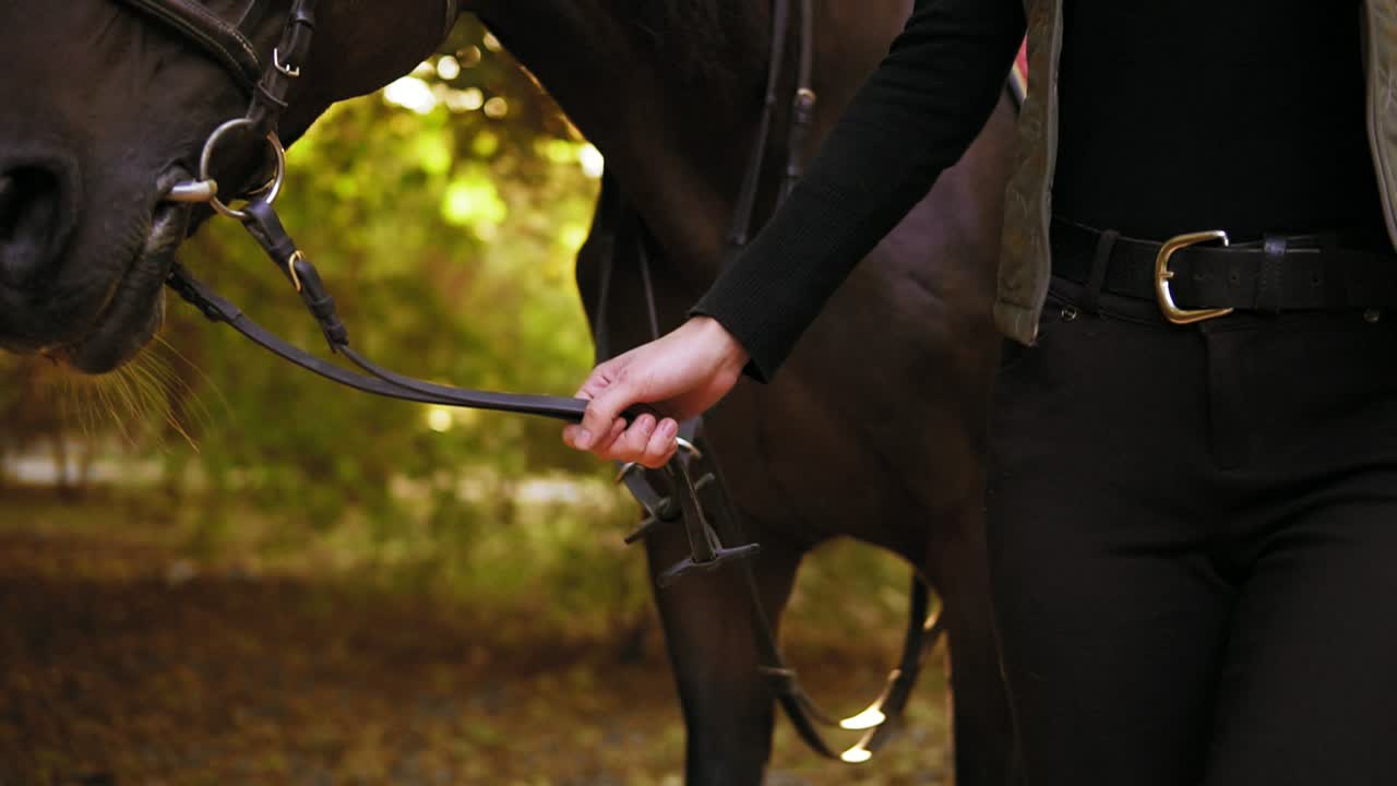 Close Up view of unrecognizable woman's hand holding leather strap of saddle while walking with a stunning brown horse with white
