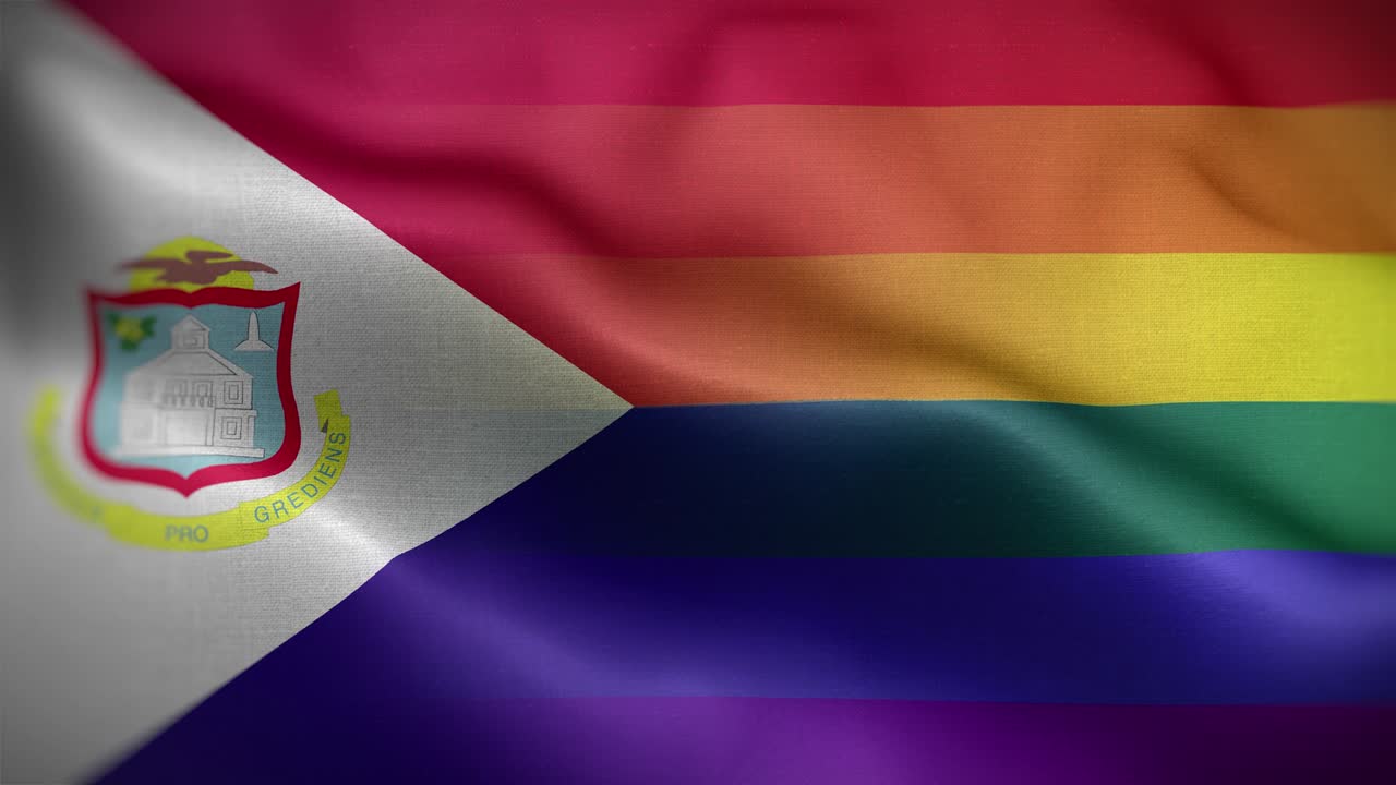 la bandera de san martín es un fondo de bucle 4k