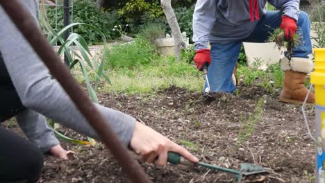 two people gardening in the spring time