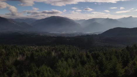 Movimiento-Aéreo-Entre-Dos-árboles-Con-El-Desfiladero-De-Columbia-Y-El-Bosque-Al-Fondo