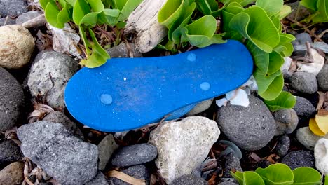 ocean and beach plastic and rubbish clean up, one of many rubber flip flop littering on the pebbles along the shoreline of a popular tropical island destination in southeast asia