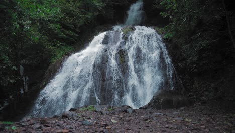 waterfall on the rocks in the forest