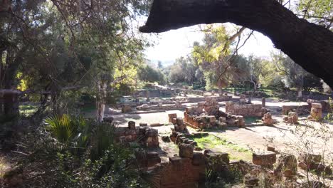 ruinas romanas en tipaza, argelia