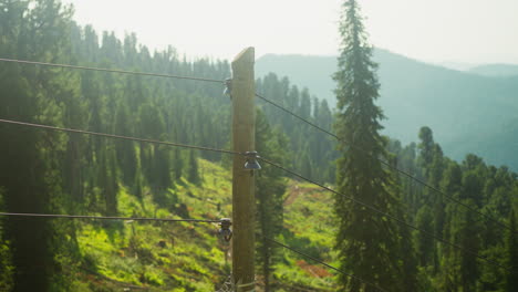 landscape view of hilly mountain with coniferous trees in dense forest. trip to another country for environment beauty. travelling by funicular