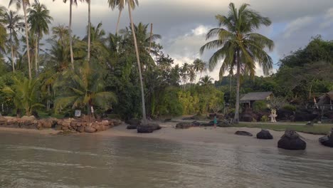 Woman-standing-alone-on-beach-looking-at-palm-tree