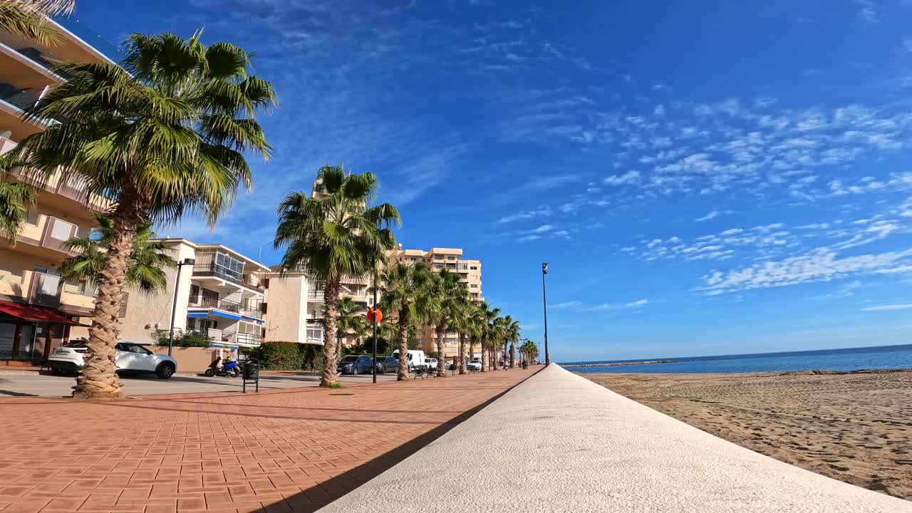 Vista statica di una strada costiera fiancheggiata da palme, marciapiede con un ciclista solitario