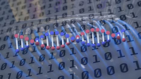 animation of binary coding and dna strand over server