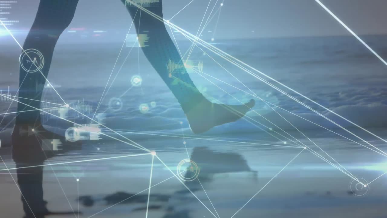 해변에서  ⁇ 는 백인 여성에 대한 데이터 처리 및 연결 네트워크의 애니메이션