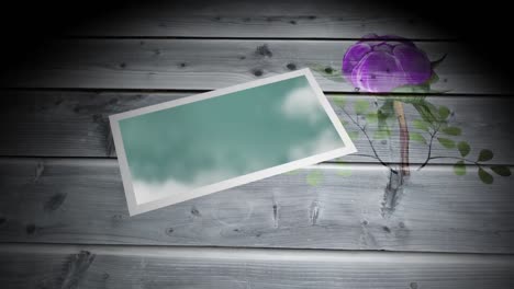 animation of frame with green image lying on wooden surface with flower