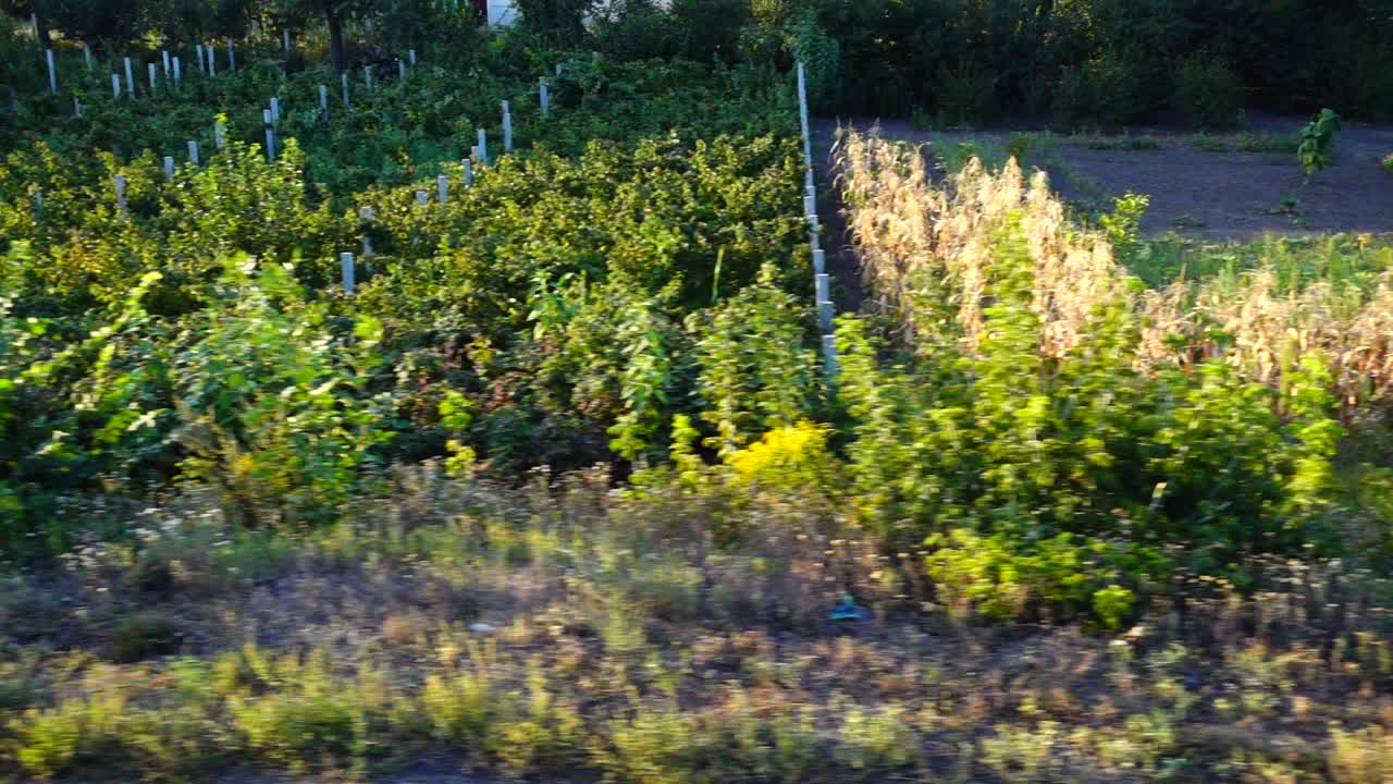Village et jardins potagers. Photographie en mouvement.