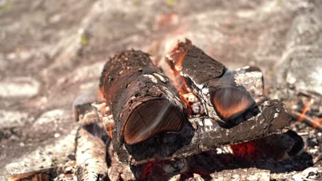 close-up van buitenvuur en houten stok gebruikt voor het grillen van rauw wild hertenvlees - buitenoverleving tijdens wandeltocht - achtergrond met ondiepe diepte