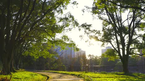 el hermoso parque en osaka