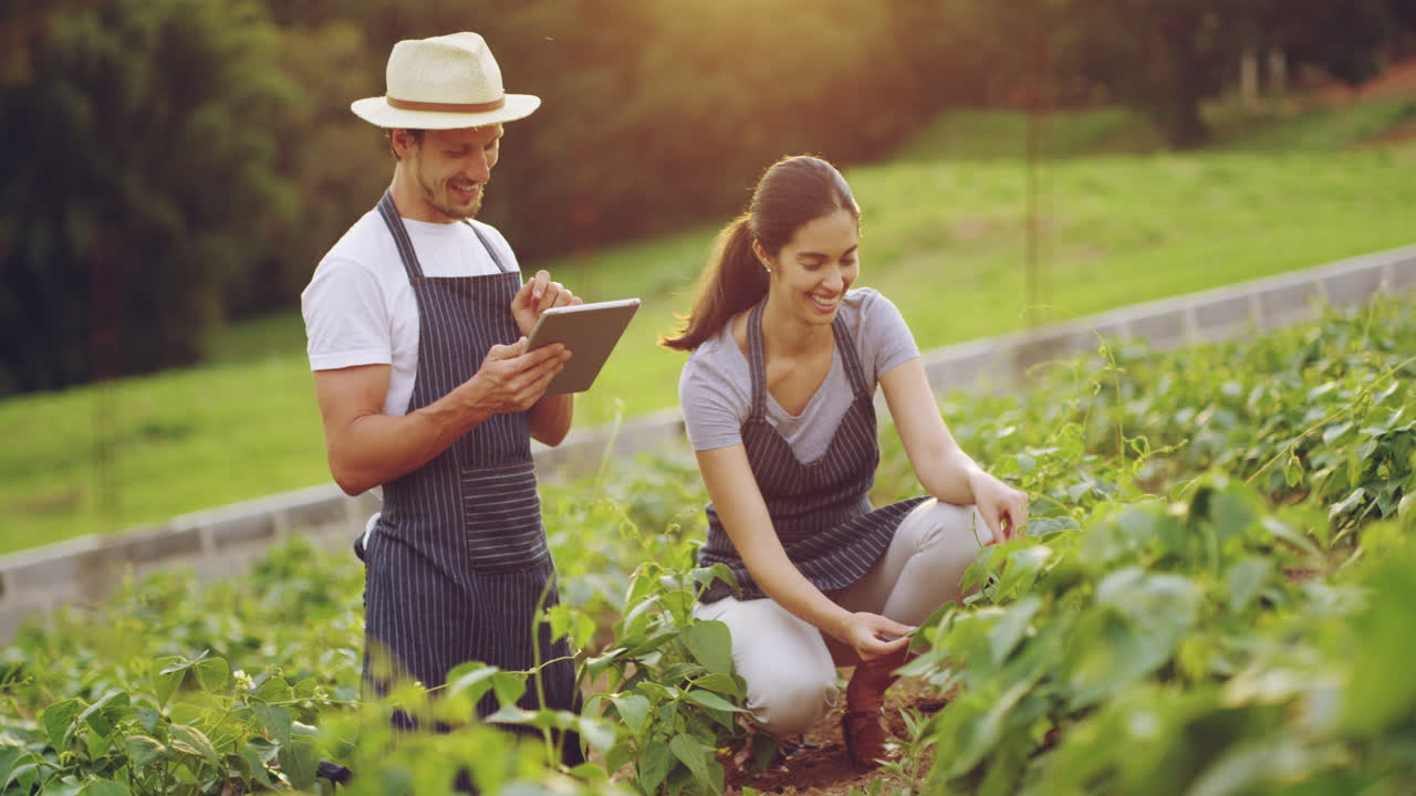 todo va según lo programado.