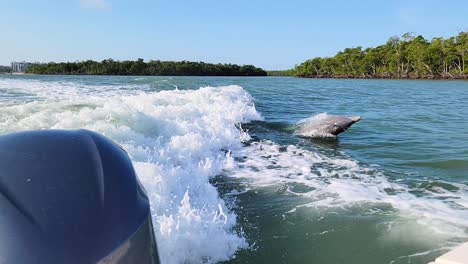 pair of dolphins swimming and jumping high in the air next to a motorboat in louisiana gulf of mexico