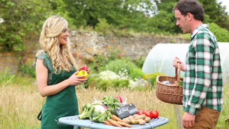 Handsome-man-buying-peppers-from-smiling-gardener