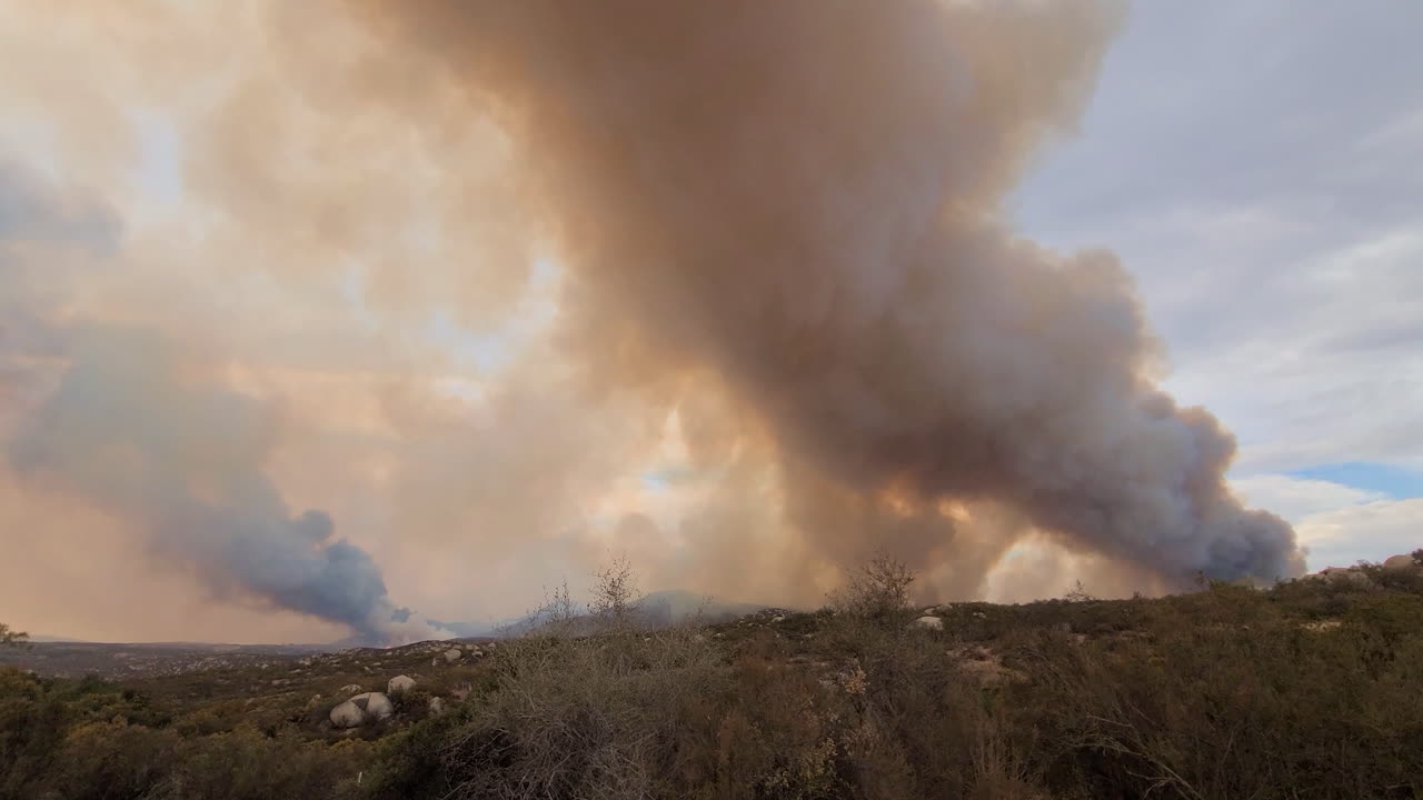 Nuvola generata da incendio boschivo in una foresta montana