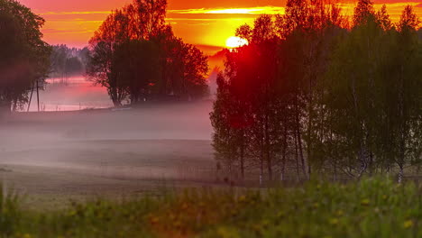 Time-lapse-of-vivid-sunset-with-fiery-sky-through-trees,-queer-fog-movement