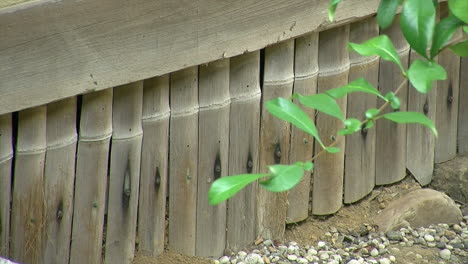 bamboo architectural detail on a japanese bathhouse