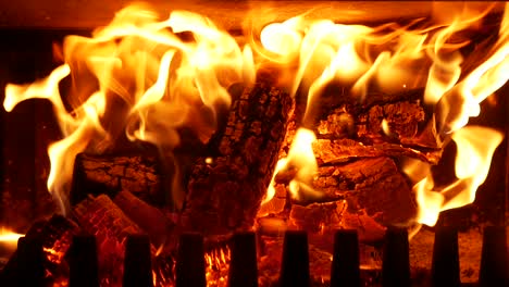 a shot of firewoods burning in a fireplace