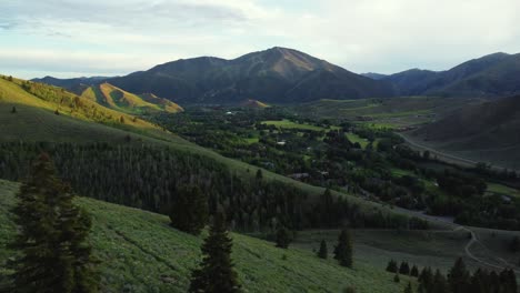 Aerial-View-Of-Pine-Tree-Forest-And-Green-Mountain-Range