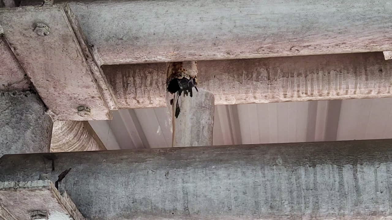 Water leak from damaged pipe under old industrial roof. Shot captures maintenance issue, dripping water, corrosion and aging structure, useful for industry, repair, safety and infrastructure themes