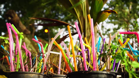 close up of colorful plastic straws buried in pots with plants