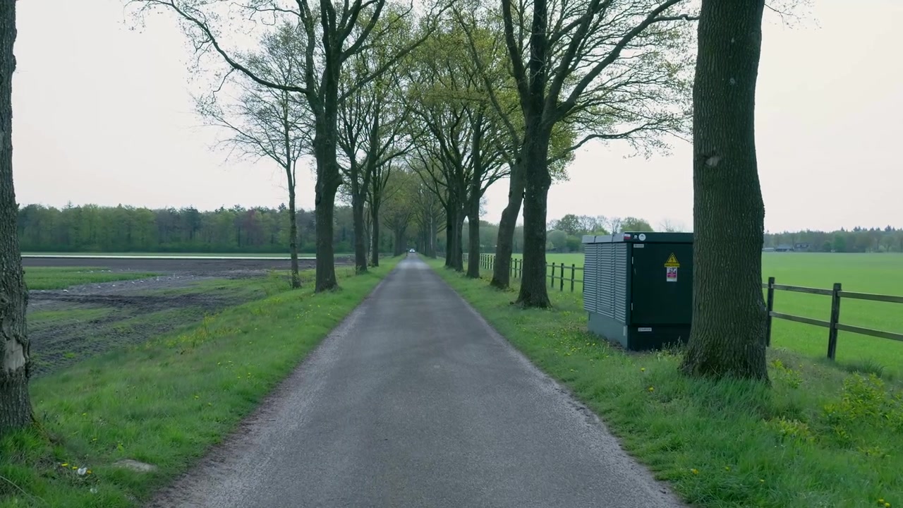 Strada di campagna deserta fiancheggiata da alberi in un paesaggio rurale