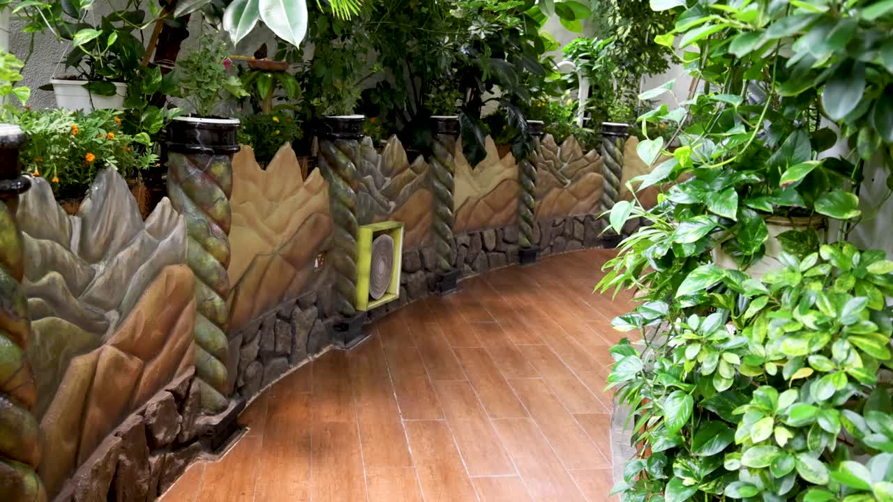 бабочки, летающие по пышной, закрытой дорожке