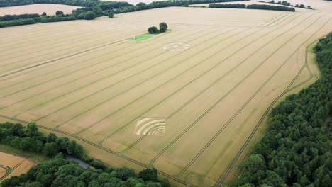 Aerial-view-looking-down-over-Micheldever,-Hampshire-farming-countryside-crop-circles-formed-on-golden-wheat-field-2023