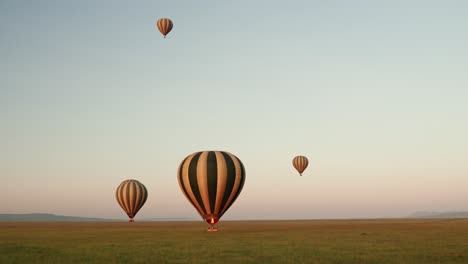 hot air balloons floating across the serengeti at sunrise