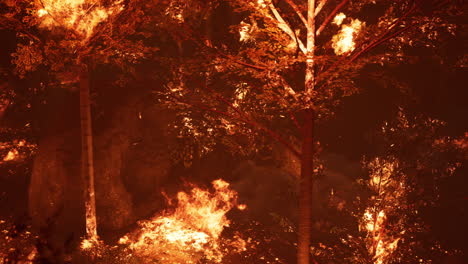 Große-Waldbrandflammen-In-Der-Nacht