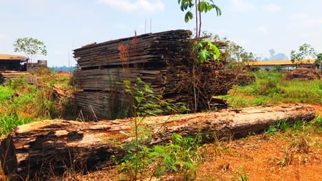 Holzstapel-In-Einem-Illegalen-Holzverarbeitungshof-Im-Amazonas-Regenwald