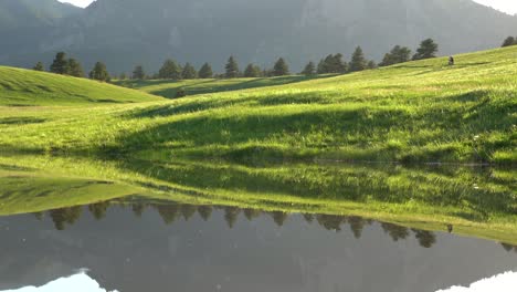 reflection of rolling hills and trees on calm water surface