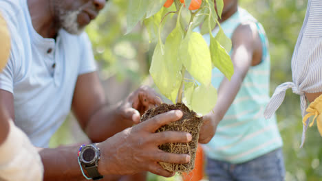 Glückliche-Afroamerikanische-Geschwister-Mit-Großvater-Bei-Der-Gartenarbeit,-In-Zeitlupe