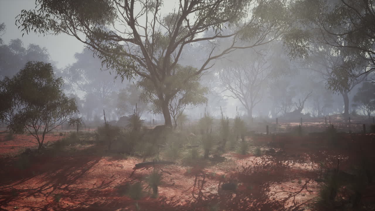 Natures solitude a serene symphony of trees amidst the savannah