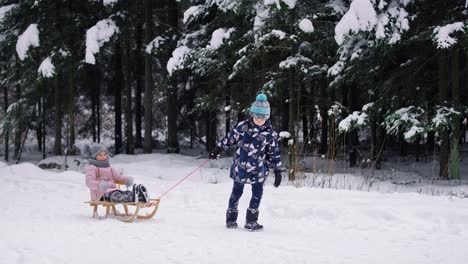 Video-of-brother-pulling-sledge-with-little-sister-in-snow