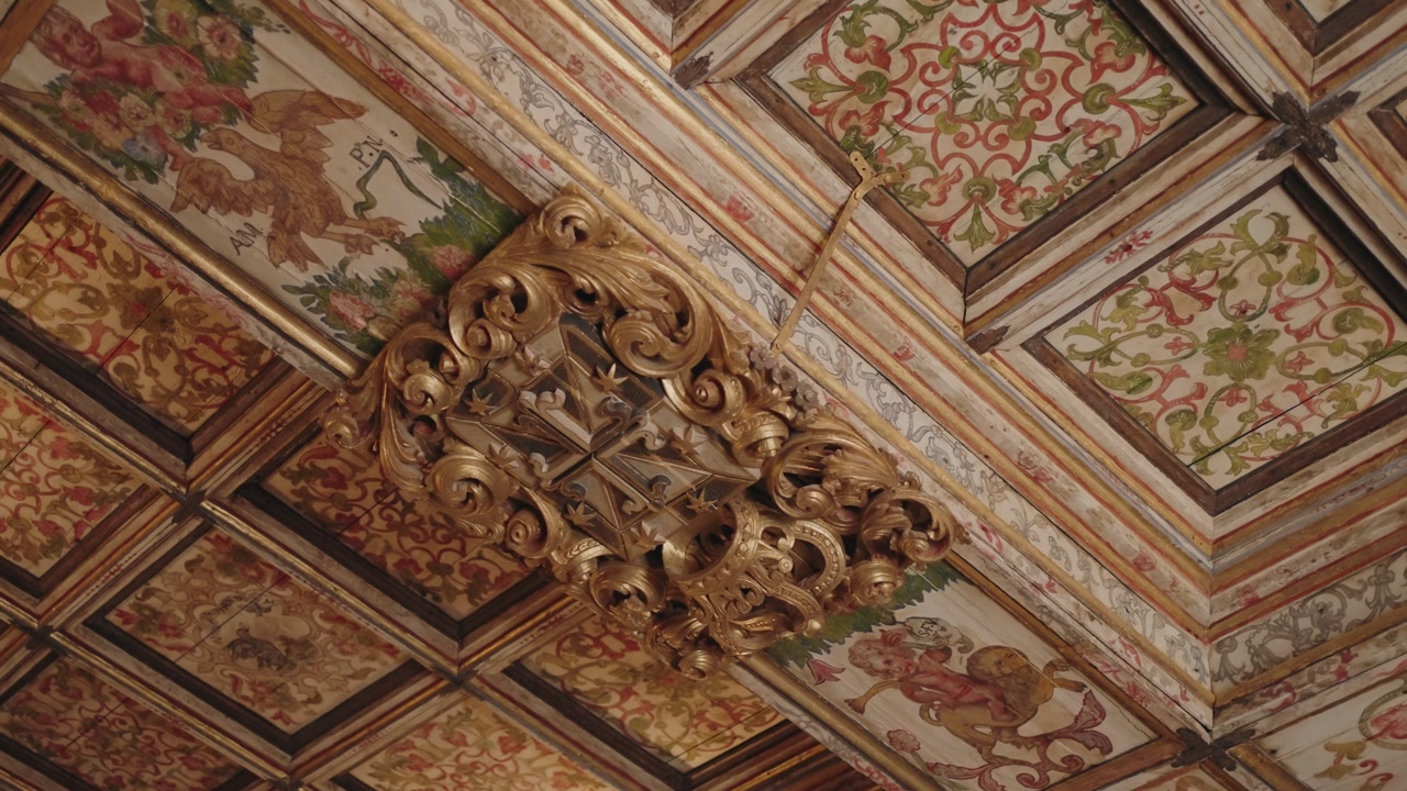 decorated wooden ceiling featuring painted panels and baroque gold carving