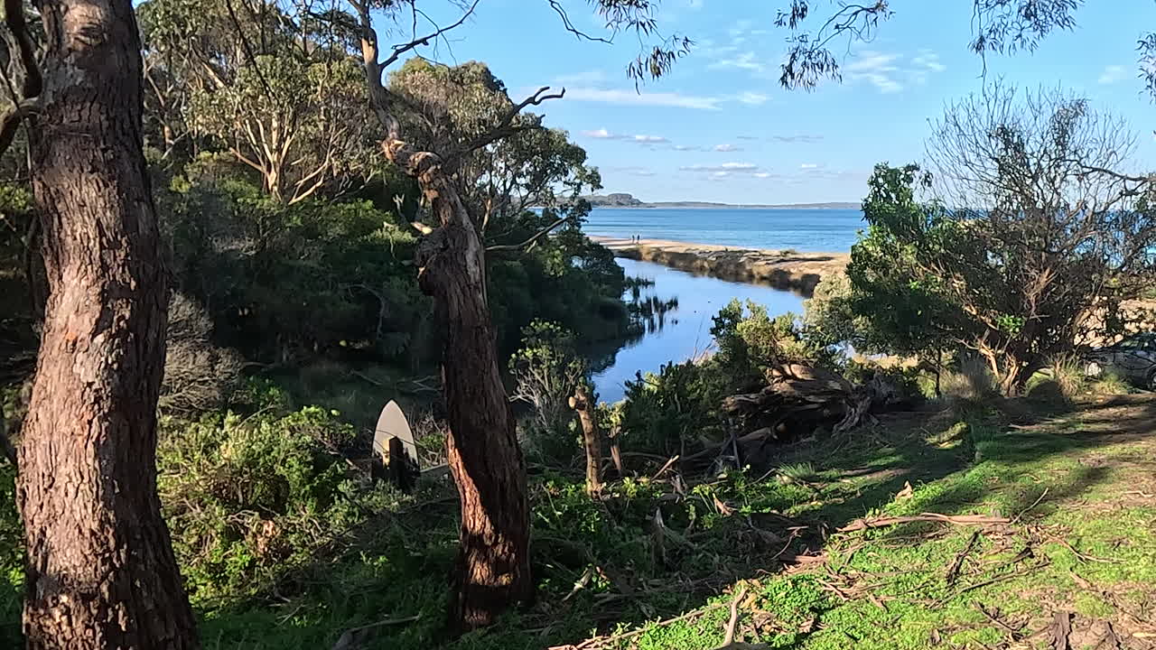 Coastal Landscape with Ocean and Trees