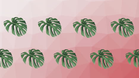 composition of rows of green plant leaves moving on pink background