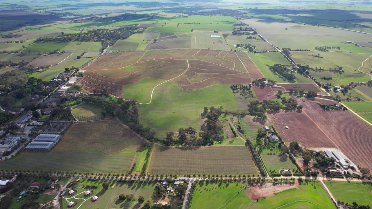 paisaje con campos verdes en el valle de barossa, australia del sur - fotografía aérea