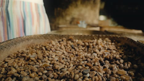 woman hand-picking coffee beans in a traditional basket