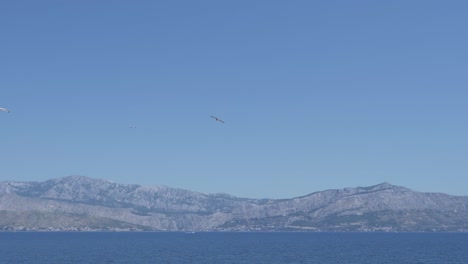 Gaviotas-Volando-Sobre-El-Mar,-Montañas-En-El-Fondo---Gran-Angular