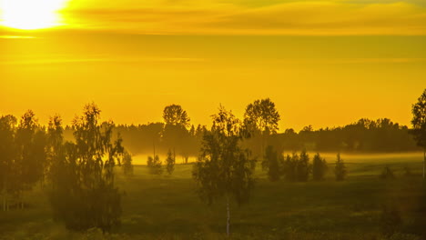 Hermosa-Puesta-De-Sol-Sobre-Pastizales-Y-Abedules-En-El-Paisaje-Rural-Durante-La-Noche-En-Timelapse