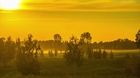 bella puesta de sol sobre pastizales y abedules en el paisaje rural durante la noche en lapso de tiempo