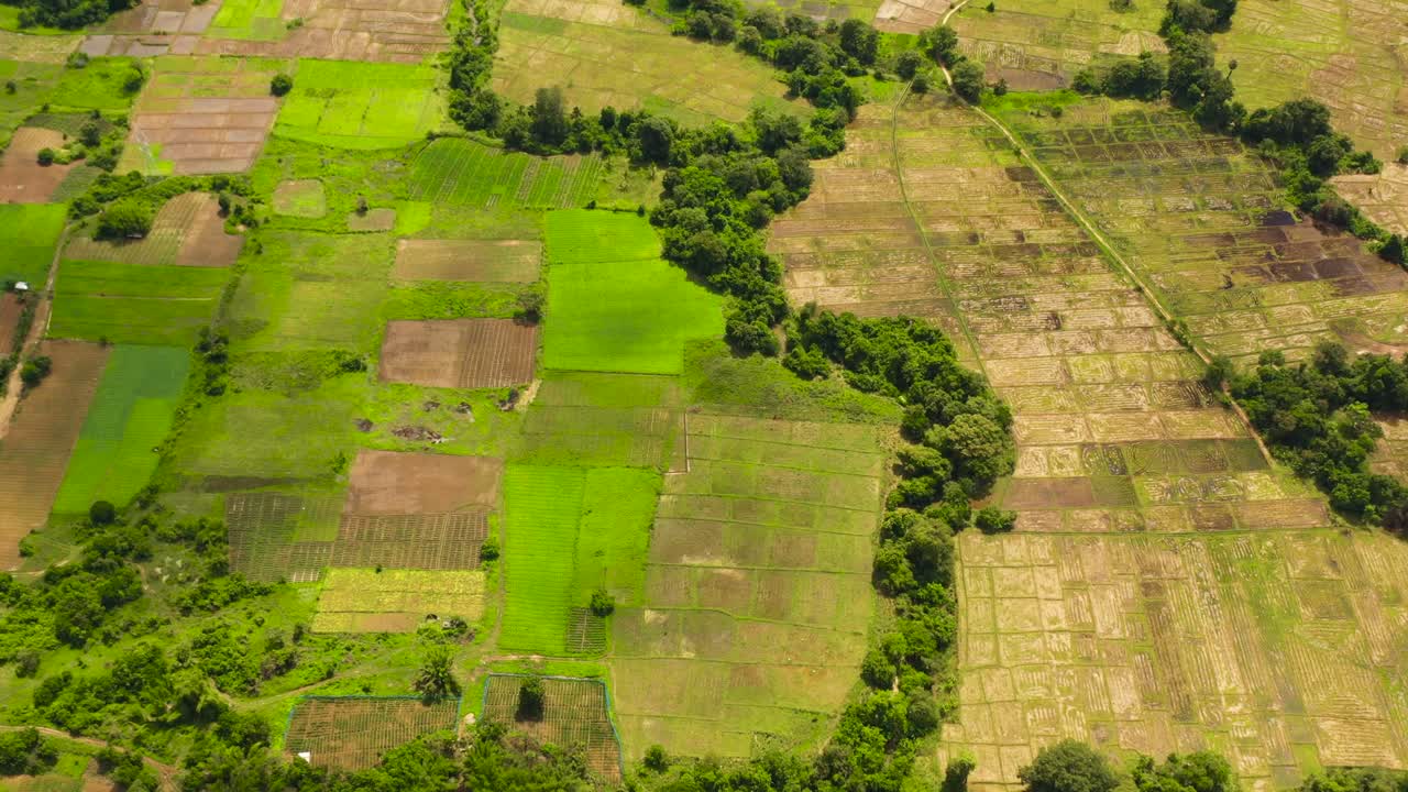 스리랑카의 농업 풍경